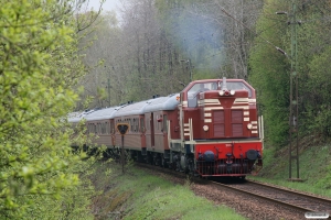 SJ T41 204+9 vogne+DSB MZ 1401 som RST 69005. Båstad S - Grevie 14.05.2010.