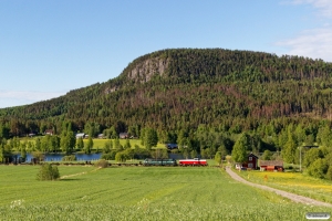 IBAB T44 273+Di3.632 med GT 35194. Callans såg - Erikslund 15.06.2017.