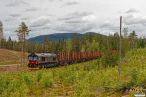 BRLL T66 401 med GT 40702. Älvho - Vassjön 21.06.2018.