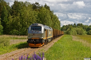 CN 312 001 med GT 63183. Sträningstorp - Högäsen 17.06.2017.