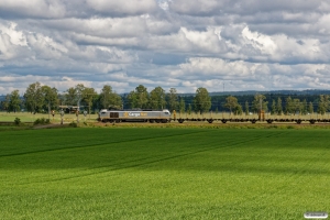 CN 312 001 med GT 63183. Ölme - Väse 17.06.2017.