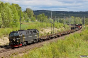 TTT TMZ 1418 med GT 35178. Bensjöbacken 11.06.2015