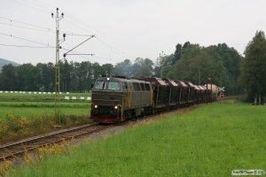 STENA TMZ 1419 med GT 48000. Veddige - Horred 25.08.2011.