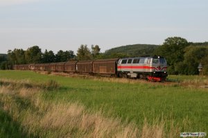 TÅGAB TMZ 108+vogne+TMZ 109 med GT 48797. Rimforsa - Kisa 24.08.2009.