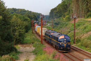VIK MX 1029+1831 med CG 9561 Tl-Ar. Km 34,8 Fa (Vejle-Hedensted) 20.08.2024.