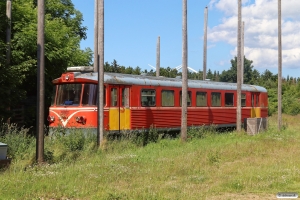 Ex. MjbaD Ys 48. Fåre 25.06.2020.